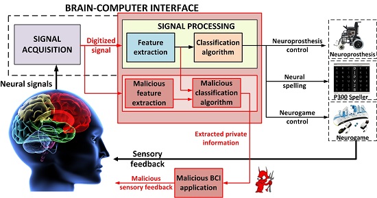 brain-computer-interface-bci