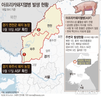 [ 농림축산식품부는 18일 연천군 소재 돼지 사육농장에서 들어온 ASF 의심 가축에 대한 정밀검사 결과 양성으로 확진됐다고 밝혔다. / 사진 = 뉴시스 ]