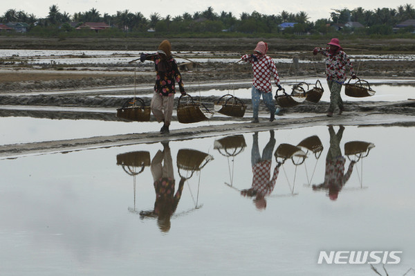 캄보디아 프놈펜 남쪽 캄포트 지방 염전에서 근로자들이 소금을 나르고 있다./사진=뉴시스 제공.