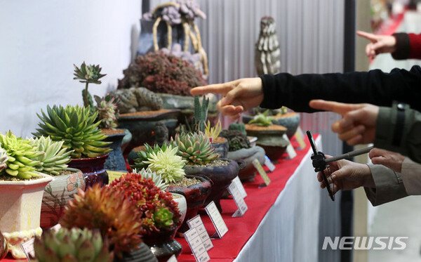 사진=뉴시스 제공.