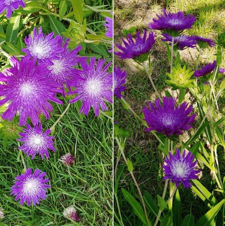 경기도 위례 신도시 스타필드 옥상정원
