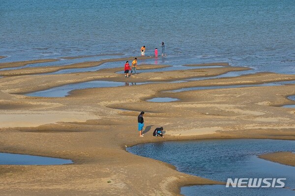 상류 댐 건설로 드러난 메콩강 사주(모래톱)/사진=뉴시스 제공