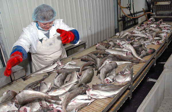 사진=뉴시스 제공.