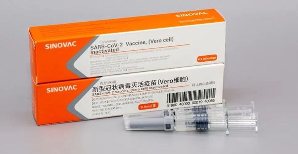 시노백 코로나19 백신/사진=웨이보