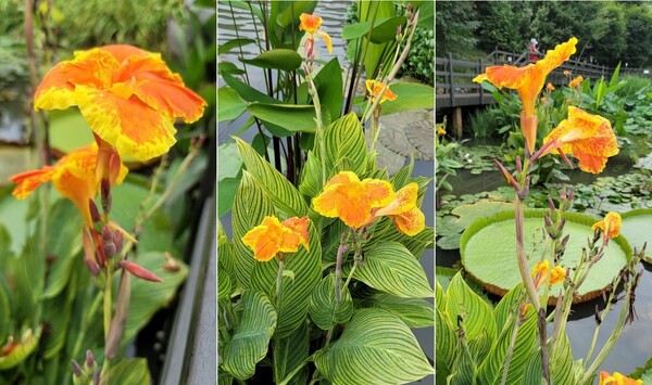 21.8.28 서울시 광진구 아차산 생태공원