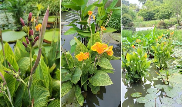 21.8.28 서울시 광진구 아차산 생태공원