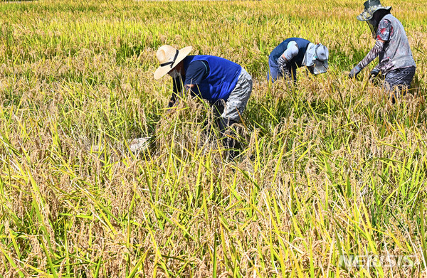 사진=뉴시스 제공.