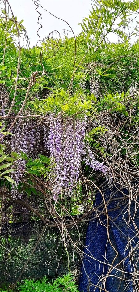 21.5.6. 경기도 연천군 청산면 대전리