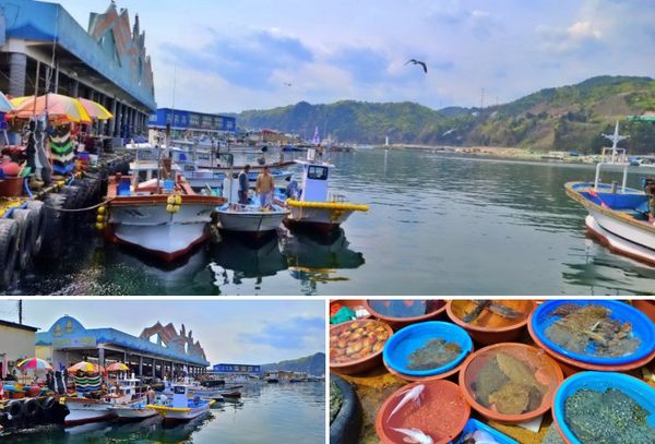 Gangwon Samcheok Imwon Port/Photo=Ho Mi-sook's Facebook