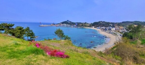 Jangho Port, Naples in the East/Photo=Ho Mi-sook's Facebook