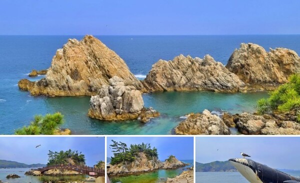 Jangho Port Coastal Promenade - Jangho Port Fishing Village Experience Village/Photo=Ho Mi-sook's Facebook