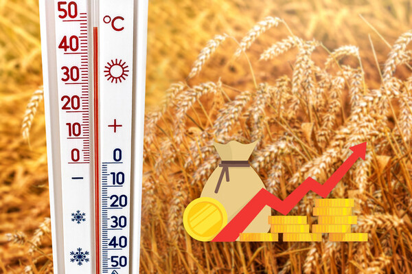 사진=뉴시스 제공.