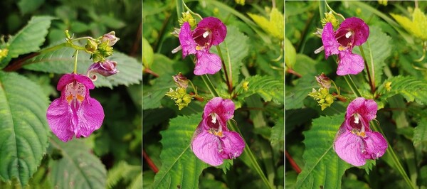 20.8.20 경기도 동두천 왕방산