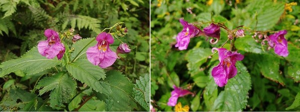 20.9.12 서울시 북한산