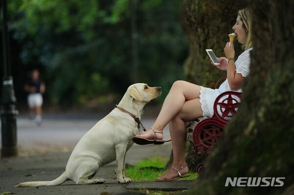 사진=뉴시스 제공.