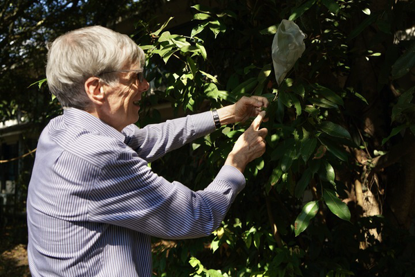 가오리싱./사진=웨이보