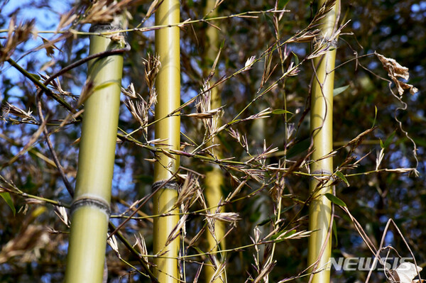 사진=뉴시스 제공.