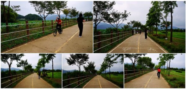 Paldang Mulgae Park/Photo=Ho Mi-sook's Facebook