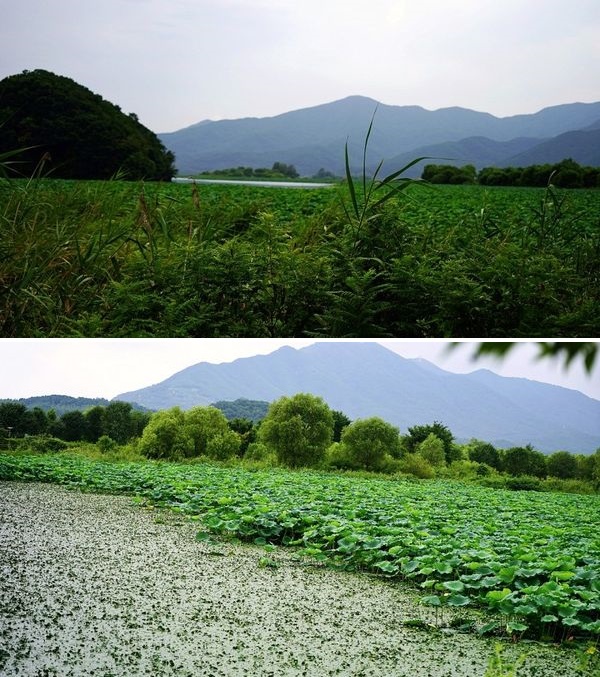 Paldang Mulgae Park Herb Island/Photo=Ho Mi-sook's Facebook