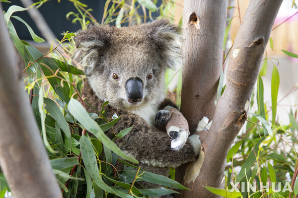 사진=뉴시스 제공.