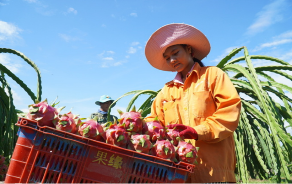 사진=뉴시스 제공.