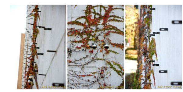 Paju Book City/Photo=Ho Mi-sook's Facebook