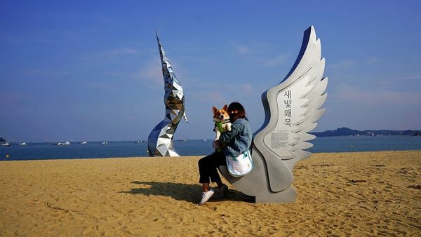 Dangjin Waemok Village heron sculpture photo point/Photo=Ho Mi-sook's Facebook