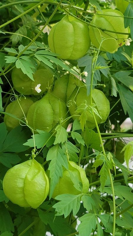 21.10.04 서울시 송파구 거여동