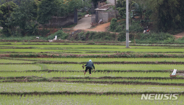 사진=뉴시스 제공.