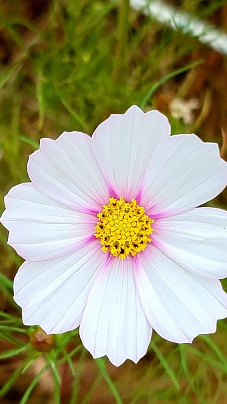 21.11.1. 서울시 암사생태공원길