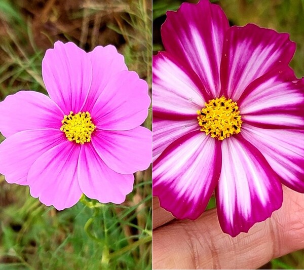 21.11.1. 서울시 암사생태공원길