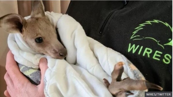 사진=뉴시스 제공.