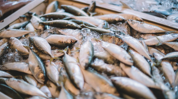 사진=뉴시스 제공.