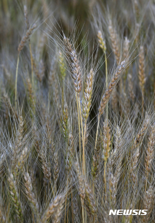 사진=뉴시스 제공.