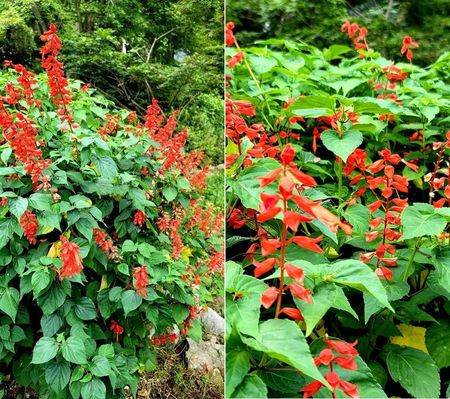 21.9.21. 전북 전주시 치명자산 입구