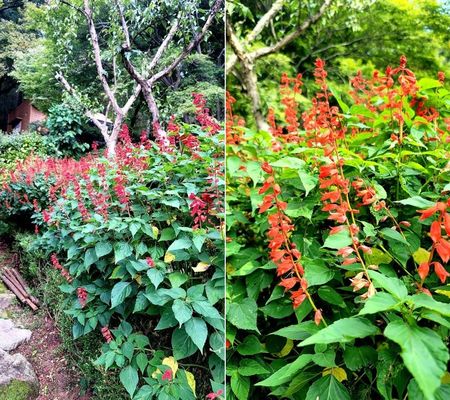 21.9.21. 전북 전주시 치명자산 입구