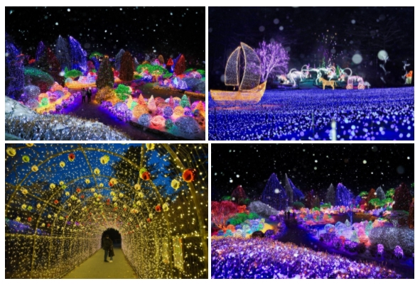Gapyeong, Gyeonggi-do-Five Color Starlight Garden/Photo=Ho Mi-sook's Facebook