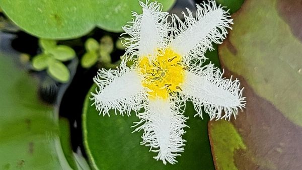 21.8.12 서울시 서울로