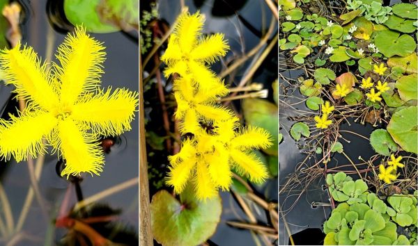 21.8.12 서울시 서울로