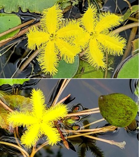 21.8.12 서울시 서울로