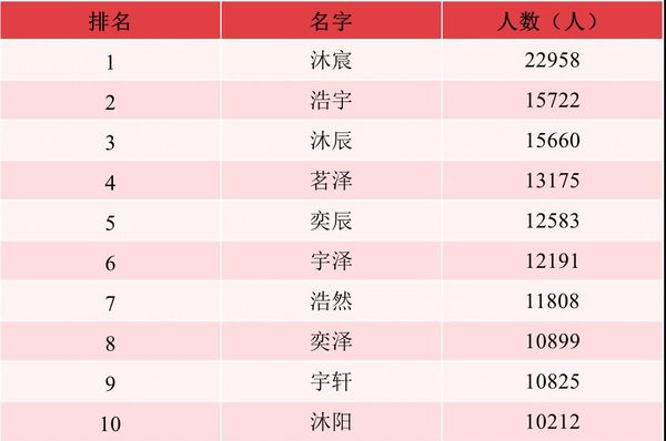 2021년 남자 신생아 10대 이름/자료=중국 공안부 호적관리연구센터