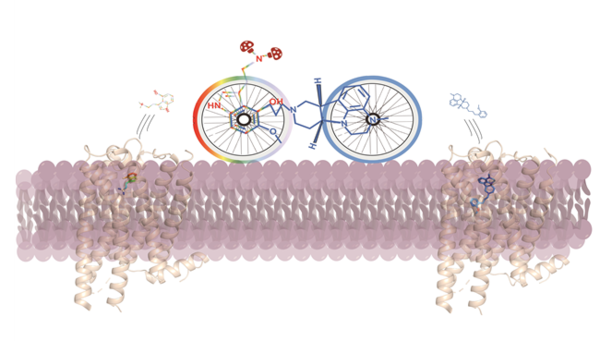 사진=상하이 과학기술대학 홈페이지 갈무리