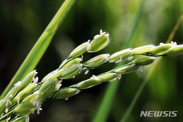 사진=뉴시스 제공.