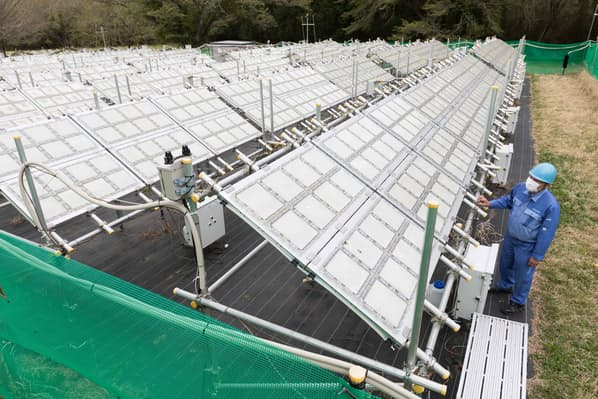 실험공장에 태양광 촉매 패널이 줄지어 있다(이바라키현 이시오카시 도쿄대학 가키오카 교육 연구시설)./사진=뉴시스 제공.