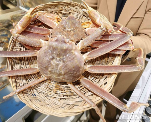 사진=뉴시스 제공.