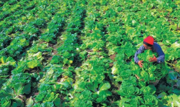 사진=뉴시스 제공.