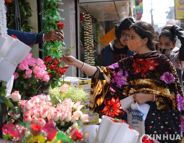 사진=뉴시스 제공.