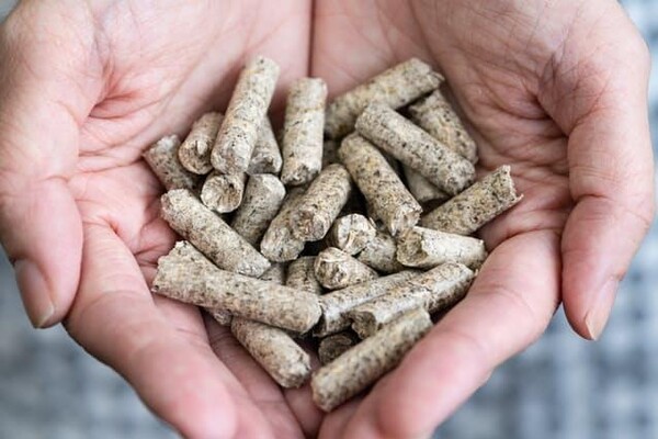 파나소닉이 개발한 오일 야자수 폐기물 활용 목재 재료