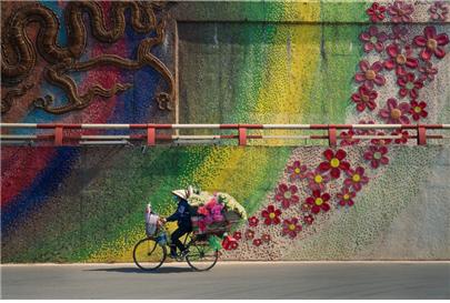 “독수리 풀 수확”