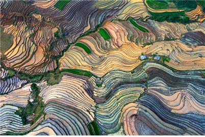 사진 - 방글라데시 수전 아디카르(Sujon Adikar)